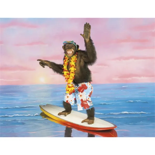 Good Value™ Monkey Mischief - Spiral Calendar - Good Value™ Monkey Mischief - Spiral Calendar - Image 24 of 30