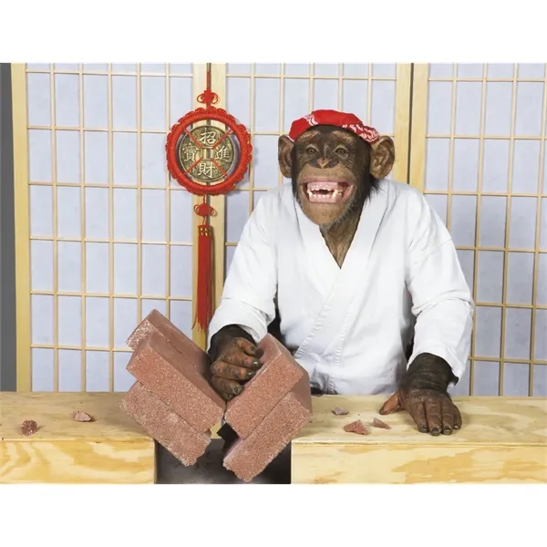 Good Value™ Monkey Mischief - Spiral Calendar - Good Value™ Monkey Mischief - Spiral Calendar - Image 27 of 30