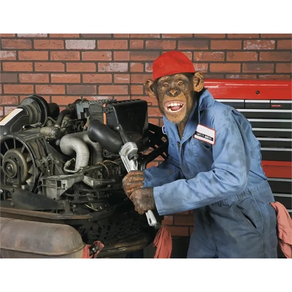 Good Value™ Monkey Mischief - Spiral Calendar - Good Value™ Monkey Mischief - Spiral Calendar - Image 29 of 30