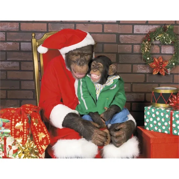 Good Value™ Monkey Mischief - Spiral Calendar - Good Value™ Monkey Mischief - Spiral Calendar - Image 30 of 30