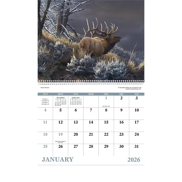 Good Value™ Wildlife Canvas - Spiral Calendar - Good Value™ Wildlife Canvas - Spiral Calendar - Image 16 of 30