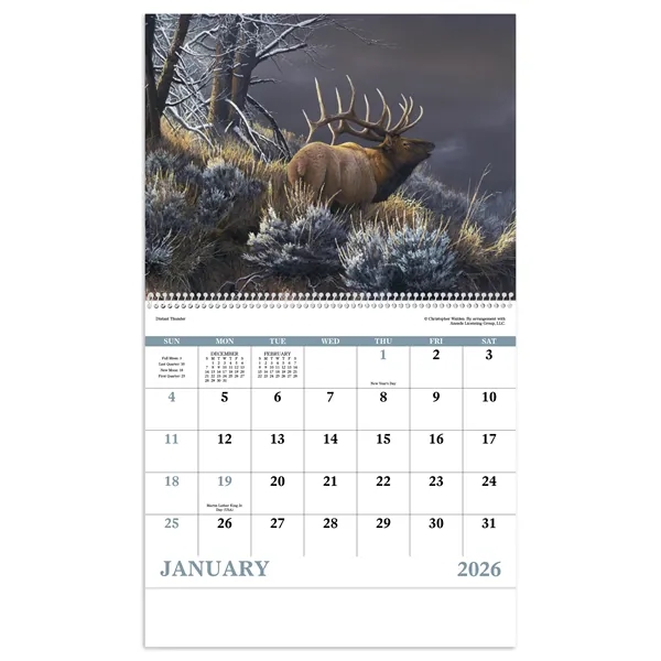 Good Value™ Wildlife Canvas - Spiral Calendar - Good Value™ Wildlife Canvas - Spiral Calendar - Image 17 of 30