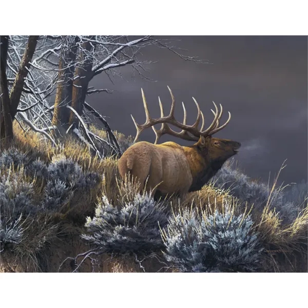 Good Value™ Wildlife Canvas - Spiral Calendar - Good Value™ Wildlife Canvas - Spiral Calendar - Image 19 of 30