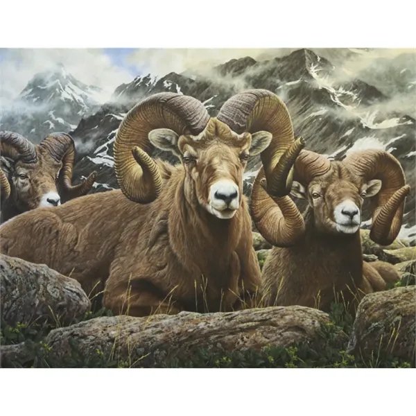 Good Value™ Wildlife Canvas - Spiral Calendar - Good Value™ Wildlife Canvas - Spiral Calendar - Image 21 of 30