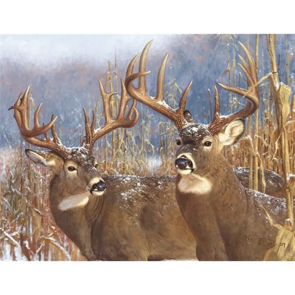 Good Value™ Wildlife Canvas - Spiral Calendar - Good Value™ Wildlife Canvas - Spiral Calendar - Image 29 of 30