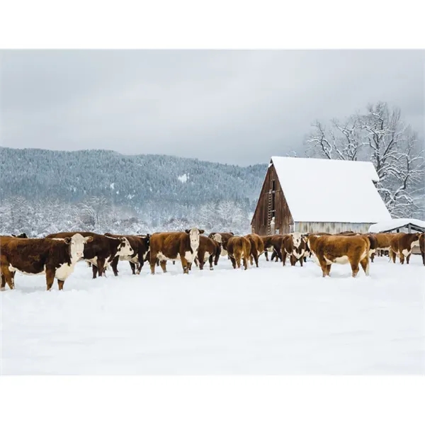 Good Value™ Agriculture - Spiral Calendar - Good Value™ Agriculture - Spiral Calendar - Image 19 of 31