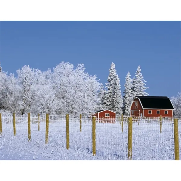 Good Value™ Agriculture - Spiral Calendar - Good Value™ Agriculture - Spiral Calendar - Image 20 of 31