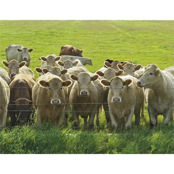 Good Value™ Agriculture - Spiral Calendar - Good Value™ Agriculture - Spiral Calendar - Image 22 of 31