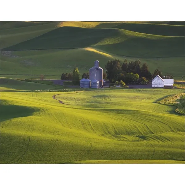 Good Value™ Agriculture - Spiral Calendar - Good Value™ Agriculture - Spiral Calendar - Image 23 of 31