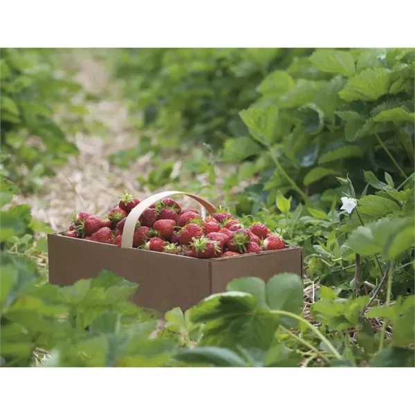 Good Value™ Agriculture - Spiral Calendar - Good Value™ Agriculture - Spiral Calendar - Image 24 of 31