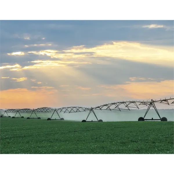 Good Value™ Agriculture - Spiral Calendar - Good Value™ Agriculture - Spiral Calendar - Image 25 of 31