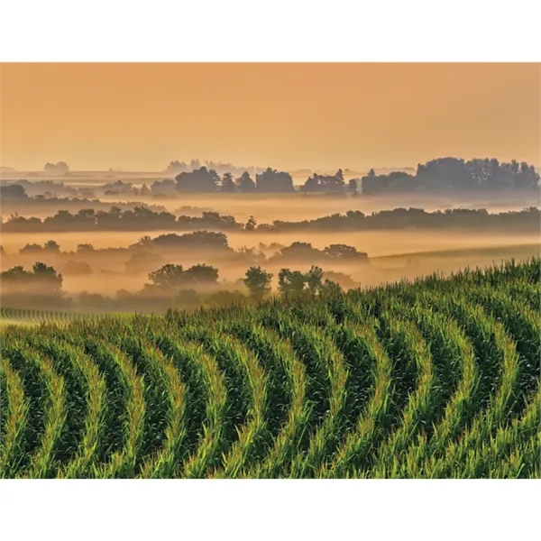 Good Value™ Agriculture - Spiral Calendar - Good Value™ Agriculture - Spiral Calendar - Image 27 of 31