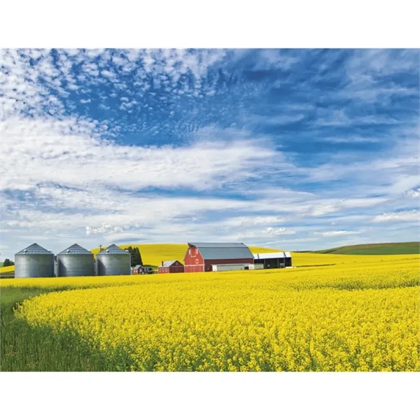 Good Value™ Agriculture - Spiral Calendar - Good Value™ Agriculture - Spiral Calendar - Image 28 of 31