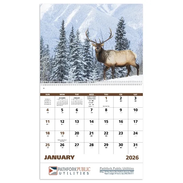 Good Value™ Wildlife Portraits - Spiral Calendar - Good Value™ Wildlife Portraits - Spiral Calendar - Image 8 of 31