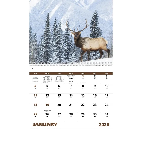 Good Value™ Wildlife Portraits - Spiral Calendar - Good Value™ Wildlife Portraits - Spiral Calendar - Image 17 of 31