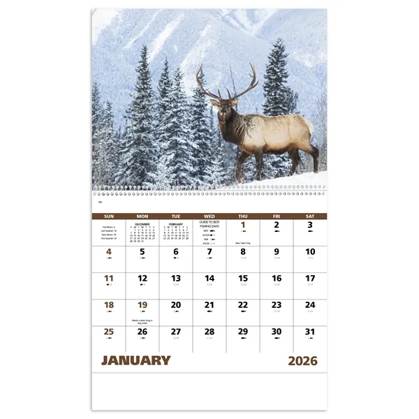 Good Value™ Wildlife Portraits - Spiral Calendar - Good Value™ Wildlife Portraits - Spiral Calendar - Image 18 of 31