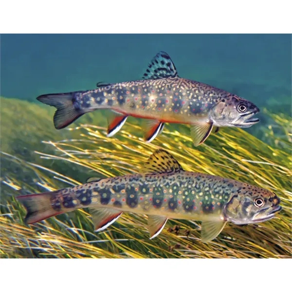 Good Value™ Fishing - Spiral Calendar - Good Value™ Fishing - Spiral Calendar - Image 19 of 30