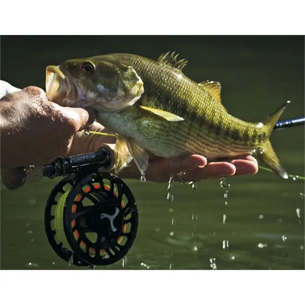 Good Value™ Fishing - Spiral Calendar - Good Value™ Fishing - Spiral Calendar - Image 22 of 30