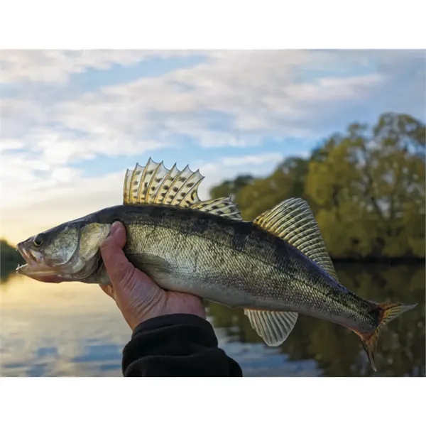 Good Value™ Fishing - Spiral Calendar - Good Value™ Fishing - Spiral Calendar - Image 24 of 30