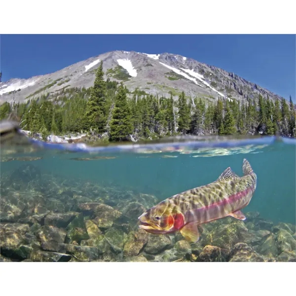 Good Value™ Fishing - Spiral Calendar - Good Value™ Fishing - Spiral Calendar - Image 25 of 30