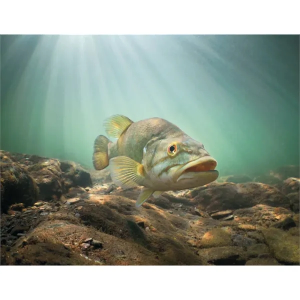 Good Value™ Fishing - Spiral Calendar - Good Value™ Fishing - Spiral Calendar - Image 29 of 30