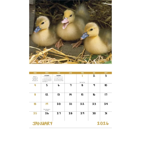 Good Value™ Baby Farm Animals - Stapled Calendar - Good Value™ Baby Farm Animals - Stapled Calendar - Image 17 of 31