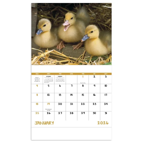 Good Value™ Baby Farm Animals - Stapled Calendar - Good Value™ Baby Farm Animals - Stapled Calendar - Image 18 of 31