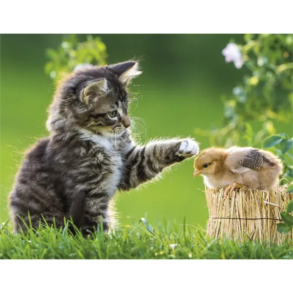 Good Value™ Baby Farm Animals - Stapled Calendar - Good Value™ Baby Farm Animals - Stapled Calendar - Image 27 of 31