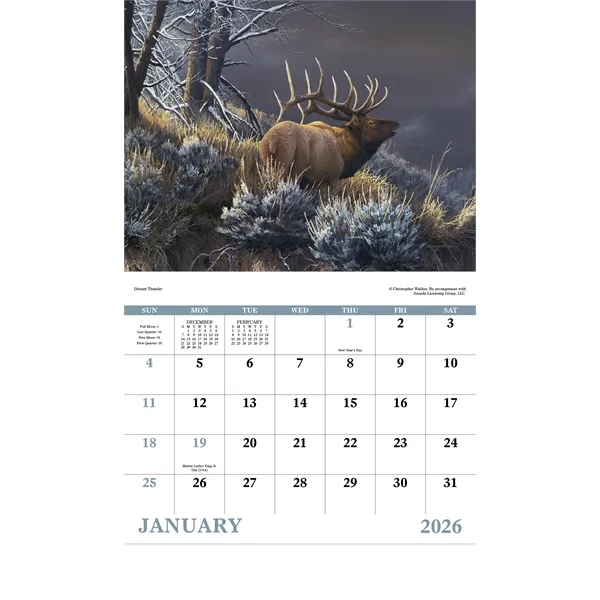 Good Value™ Wildlife Canvas - Stapled Calendar - Good Value™ Wildlife Canvas - Stapled Calendar - Image 17 of 31