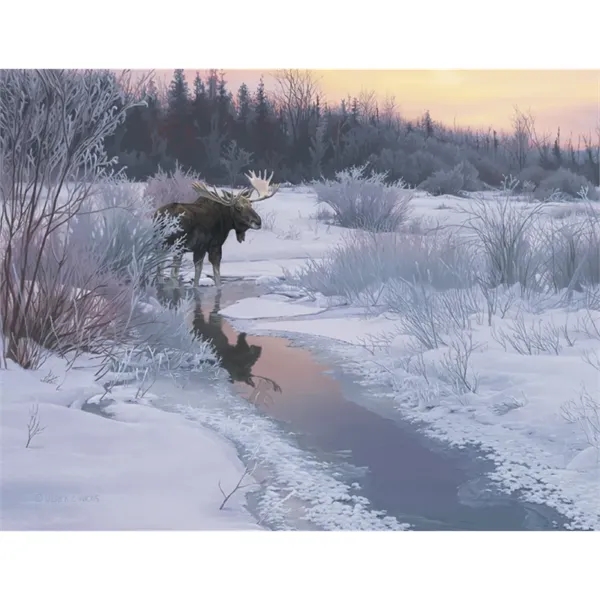 Good Value™ Wildlife Canvas - Stapled Calendar - Good Value™ Wildlife Canvas - Stapled Calendar - Image 19 of 31