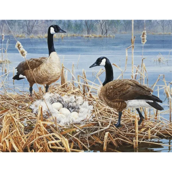 Good Value™ Wildlife Canvas - Stapled Calendar - Good Value™ Wildlife Canvas - Stapled Calendar - Image 23 of 31