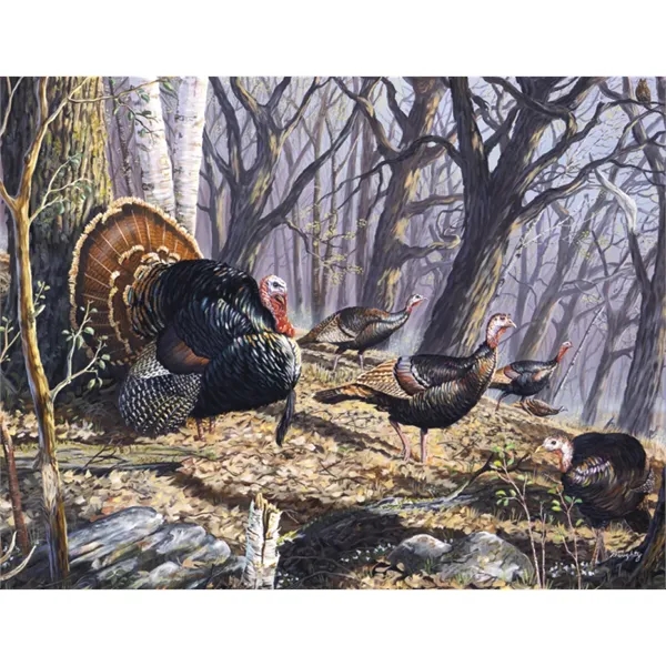 Good Value™ Wildlife Canvas - Stapled Calendar - Good Value™ Wildlife Canvas - Stapled Calendar - Image 24 of 31