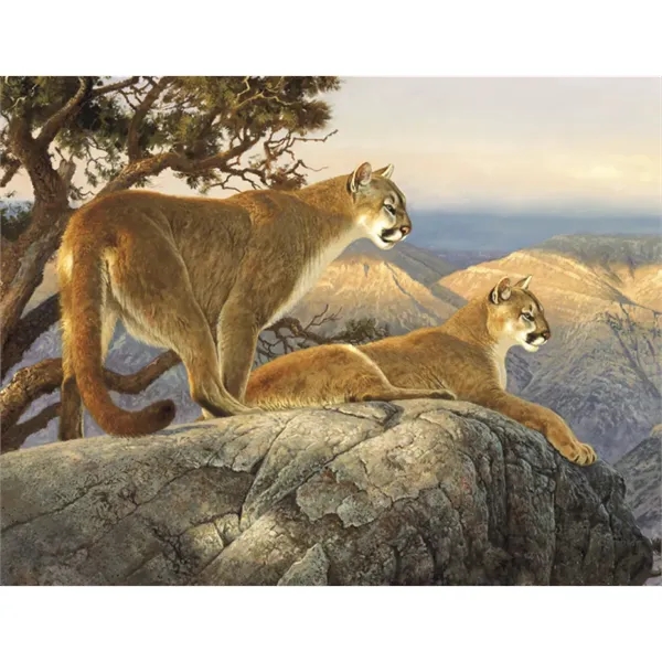 Good Value™ Wildlife Canvas - Stapled Calendar - Good Value™ Wildlife Canvas - Stapled Calendar - Image 25 of 31