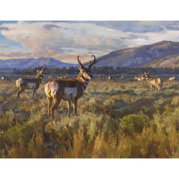 Good Value™ Wildlife Canvas - Stapled Calendar - Good Value™ Wildlife Canvas - Stapled Calendar - Image 27 of 31