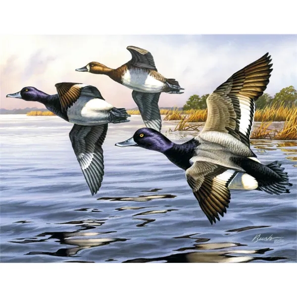 Good Value™ Wildlife Canvas - Stapled Calendar - Good Value™ Wildlife Canvas - Stapled Calendar - Image 29 of 31