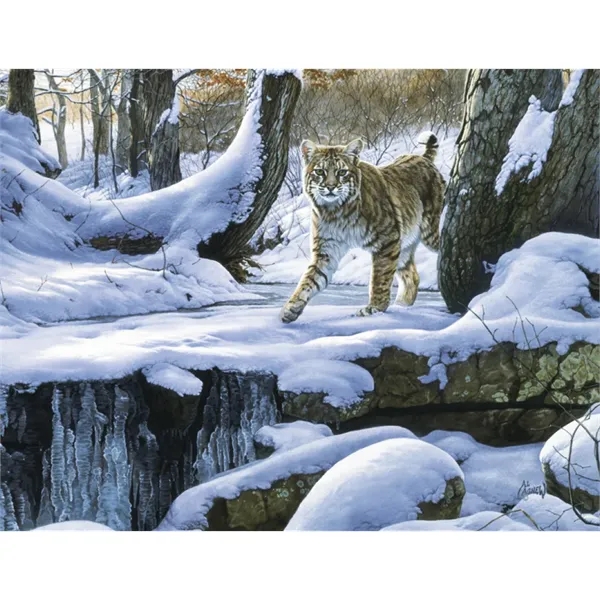 Good Value™ Wildlife Canvas - Stapled Calendar - Good Value™ Wildlife Canvas - Stapled Calendar - Image 31 of 31