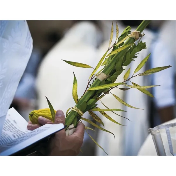 Good Value™ Jewish Life - Stapled Calendar - Good Value™ Jewish Life - Stapled Calendar - Image 18 of 29