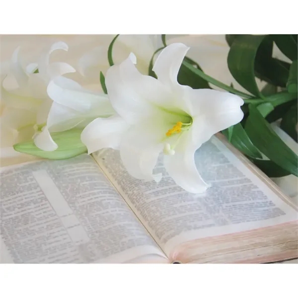 Good Value™ Catholic Spirit - Stapled Calendar - Good Value™ Catholic Spirit - Stapled Calendar - Image 23 of 31