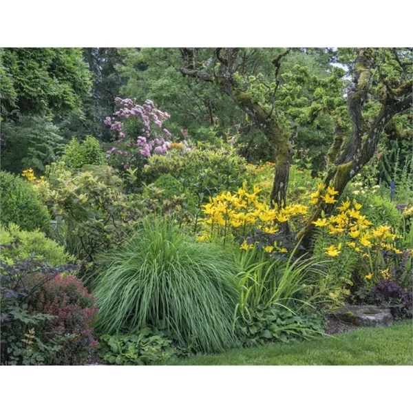 Good Value™ Garden Walk - Stapled Calendar - Good Value™ Garden Walk - Stapled Calendar - Image 31 of 31