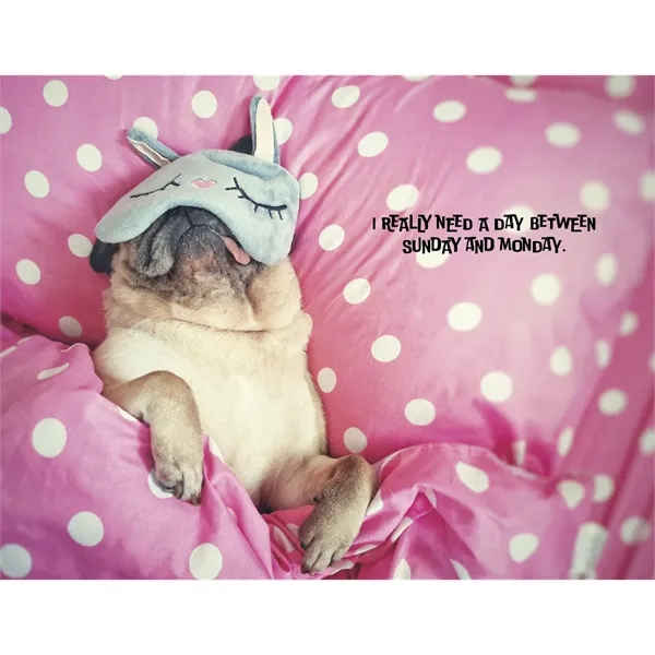 Good Value™ Pets with Attitude - Stapled Calendar - Good Value™ Pets with Attitude - Stapled Calendar - Image 19 of 31