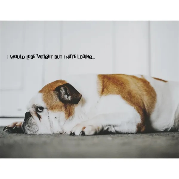 Good Value™ Pets with Attitude - Stapled Calendar - Good Value™ Pets with Attitude - Stapled Calendar - Image 20 of 31