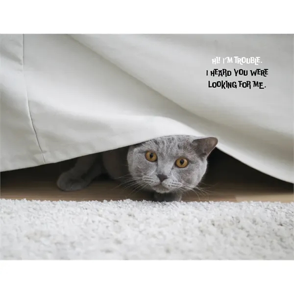 Good Value™ Pets with Attitude - Stapled Calendar - Good Value™ Pets with Attitude - Stapled Calendar - Image 23 of 31