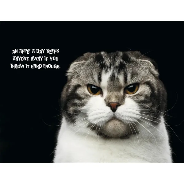 Good Value™ Pets with Attitude - Stapled Calendar - Good Value™ Pets with Attitude - Stapled Calendar - Image 25 of 31