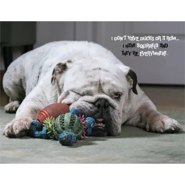 Good Value™ Pets with Attitude - Stapled Calendar - Good Value™ Pets with Attitude - Stapled Calendar - Image 28 of 31