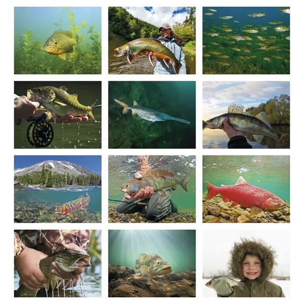 Good Value™ Fishing - Stapled Calendar - Good Value™ Fishing - Stapled Calendar - Image 14 of 31