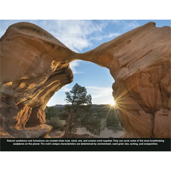 Good Value™ The Power of Nature - Stapled Calendar - Good Value™ The Power of Nature - Stapled Calendar - Image 22 of 31