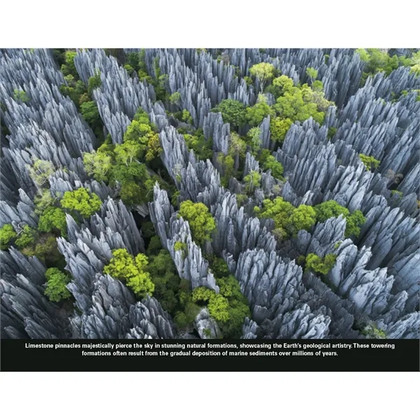 Good Value™ The Power of Nature - Stapled Calendar - Good Value™ The Power of Nature - Stapled Calendar - Image 25 of 31