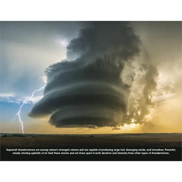 Good Value™ The Power of Nature - Stapled Calendar - Good Value™ The Power of Nature - Stapled Calendar - Image 26 of 31