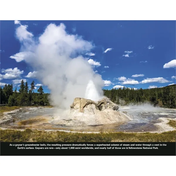 Good Value™ The Power of Nature - Stapled Calendar - Good Value™ The Power of Nature - Stapled Calendar - Image 27 of 31