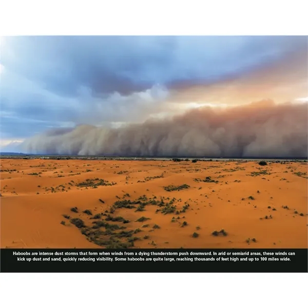 Good Value™ The Power of Nature - Stapled Calendar - Good Value™ The Power of Nature - Stapled Calendar - Image 28 of 31